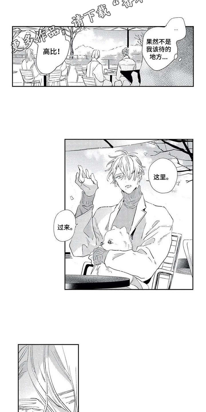 独占你的英雄漫画在线观看全集漫画,第10章：散步2图