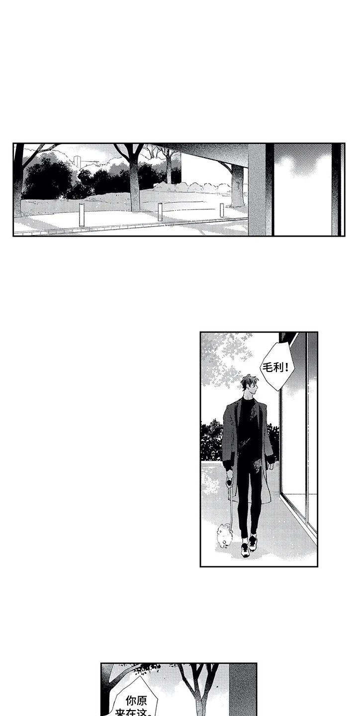 独占你的英雄漫画在线观看全集漫画,第10章：散步2图