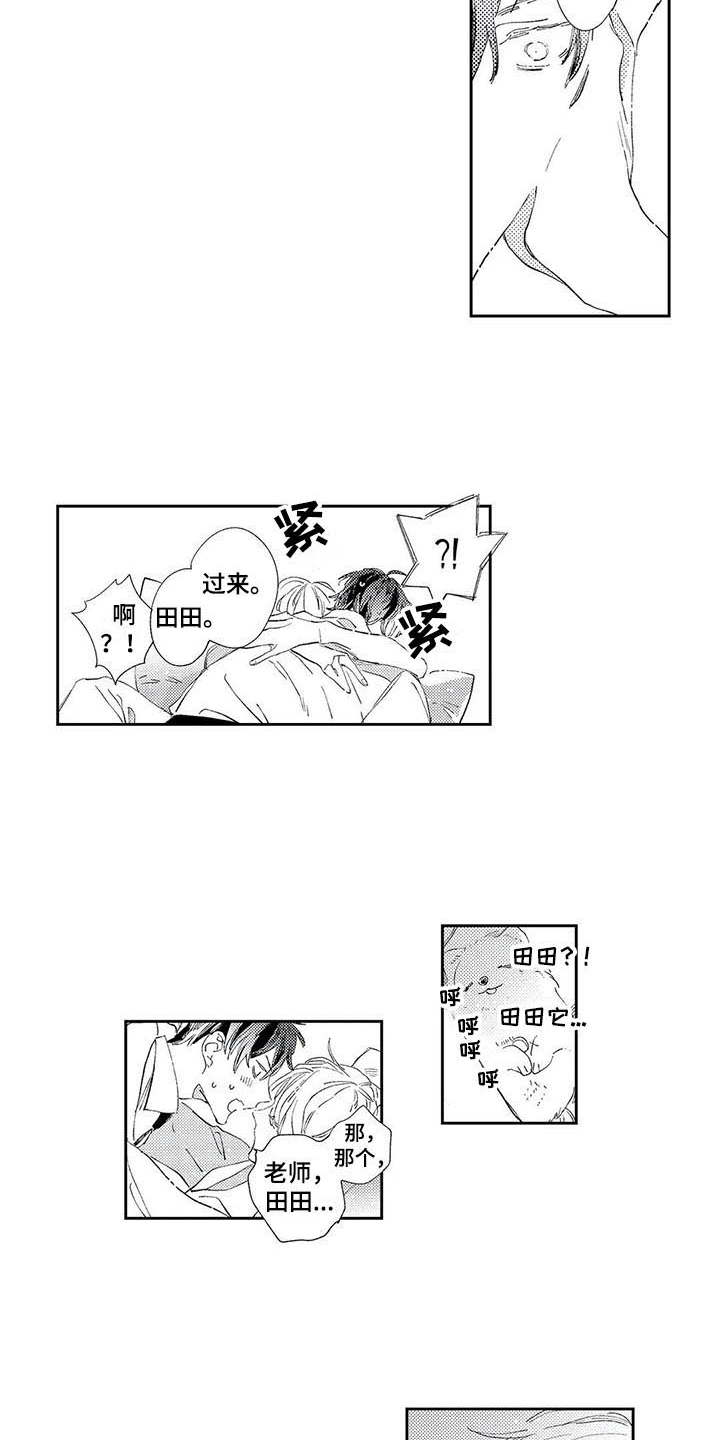 独占你的英雄漫画在线观看全集漫画,第3章：神奇的人1图