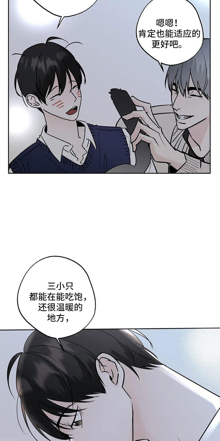 邻居蛋仔攻略漫画,第53章：晴天霹雳2图