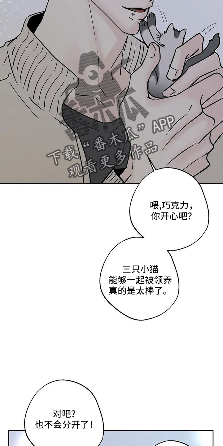 邻居蛋仔攻略漫画,第53章：晴天霹雳1图