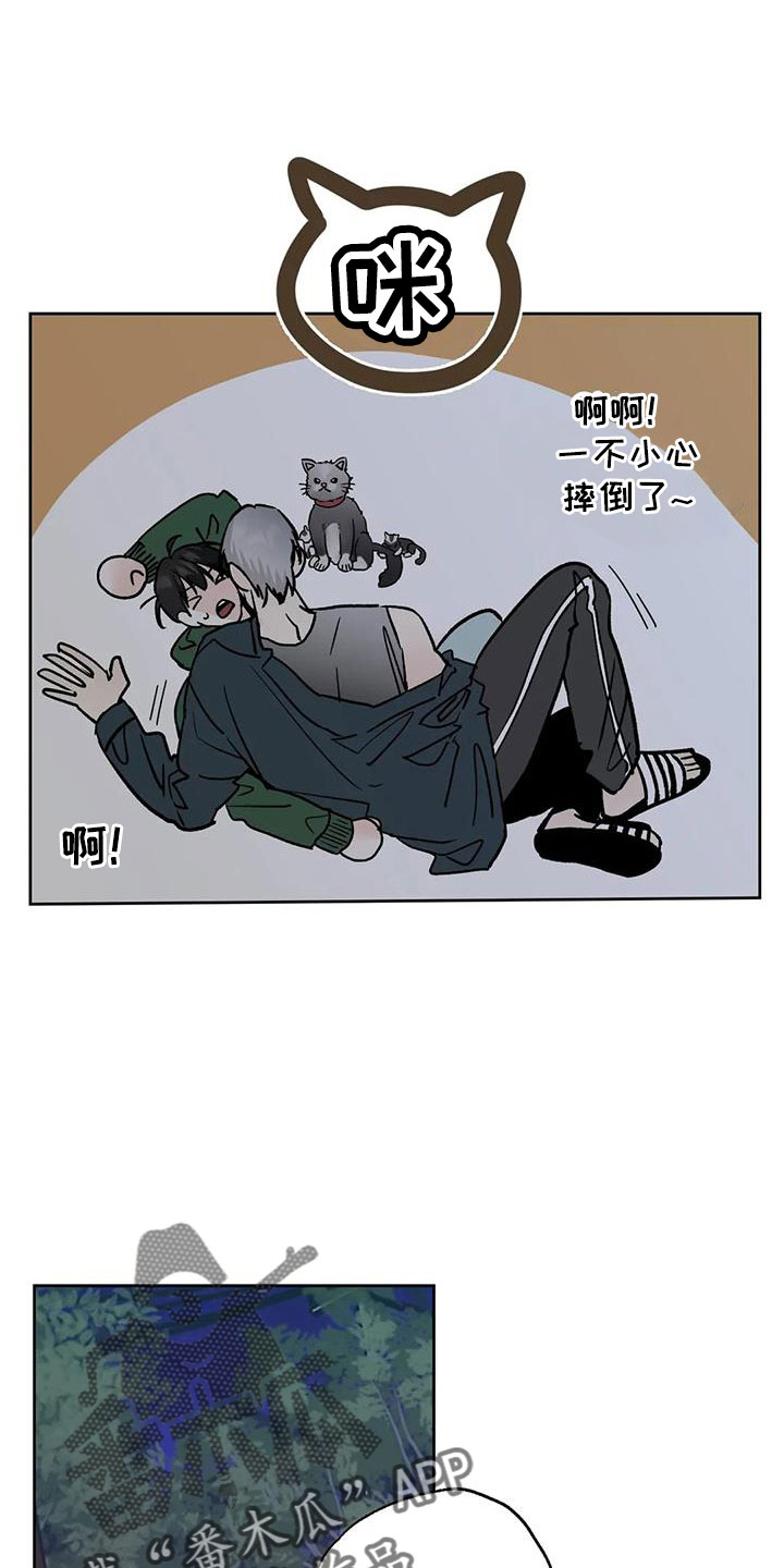 邻居蛋仔攻略漫画,第53章：晴天霹雳1图