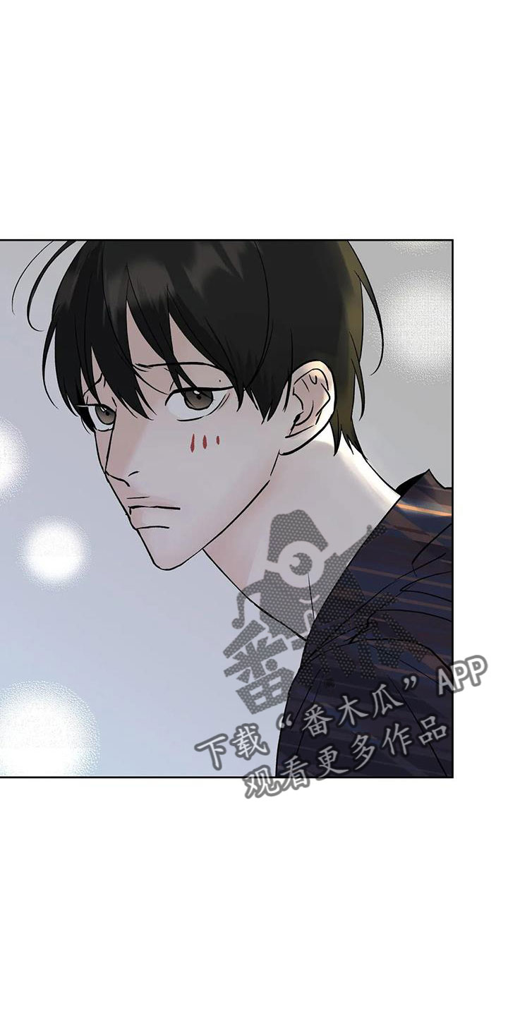 邻居手游攻略漫画,第53章：晴天霹雳2图