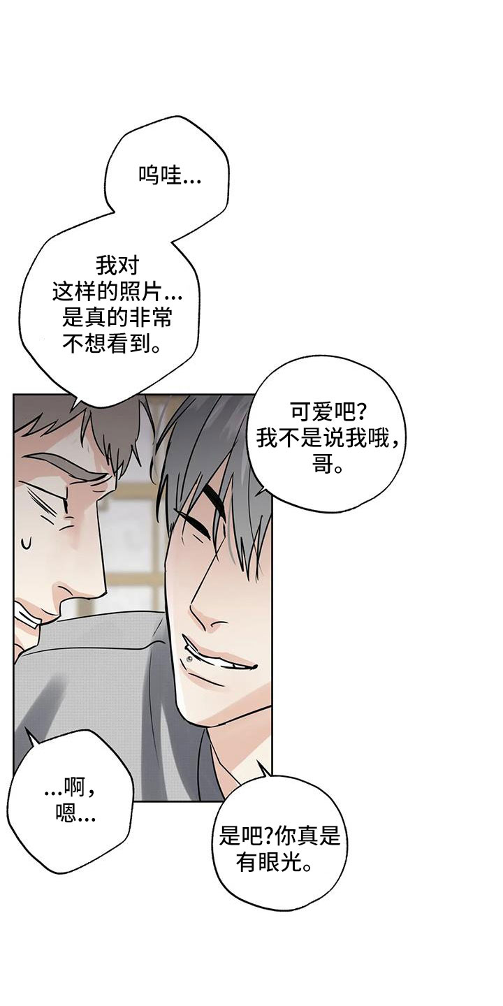 邻居也疯狂大结局漫画,第69章：重大一击1图