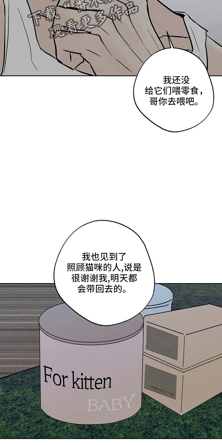 邻居手游攻略漫画,第53章：晴天霹雳1图