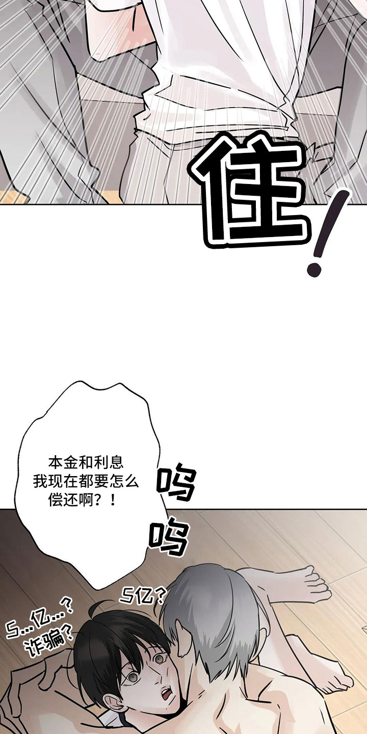 淑女都市1.0邻居攻略漫画,第55章：5个亿1图