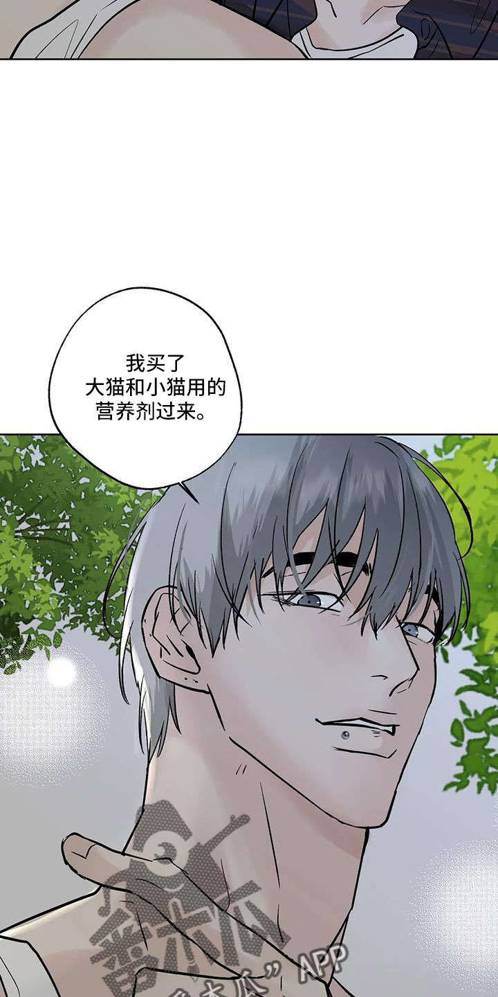 邻居也疯狂大结局漫画,第53章：晴天霹雳2图