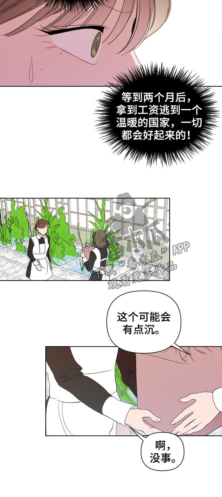 天堂鸟的养殖方法和注意事项漫画,第19章：留恋1图