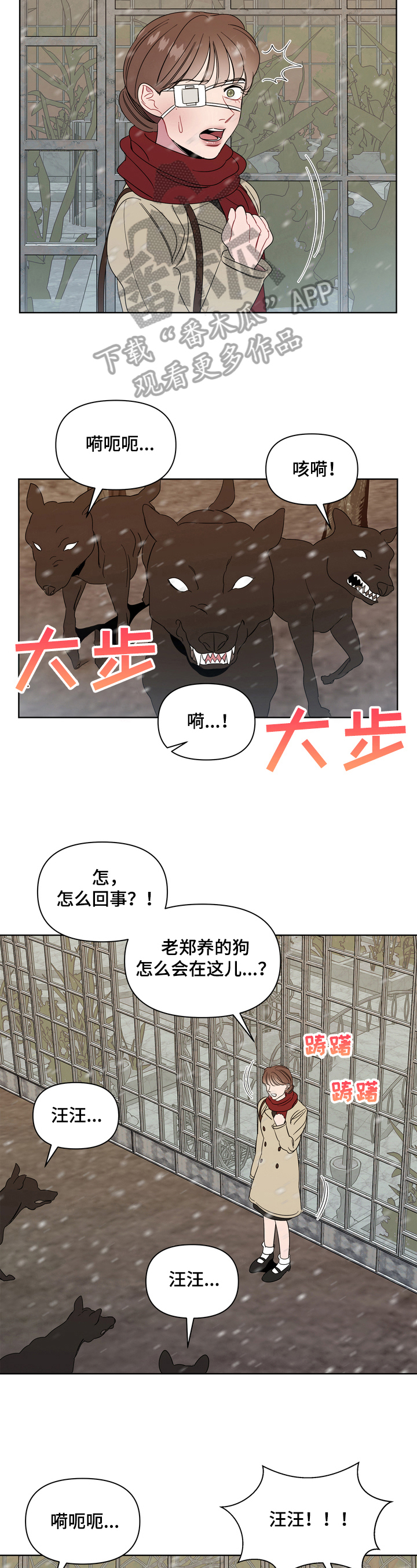 天堂鸟的养殖方法和注意事项漫画,第7章：恶犬1图