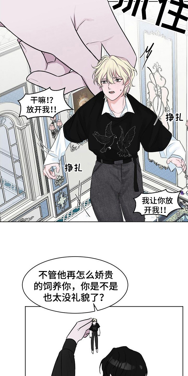 人类饲养漫画,第3章：吵闹1图