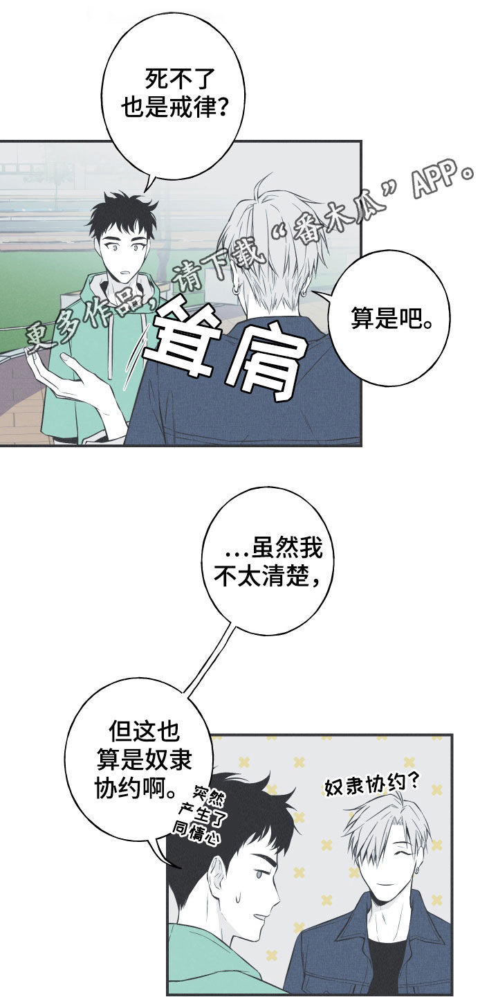 蛇环的意义漫画,第30章：填补空缺1图