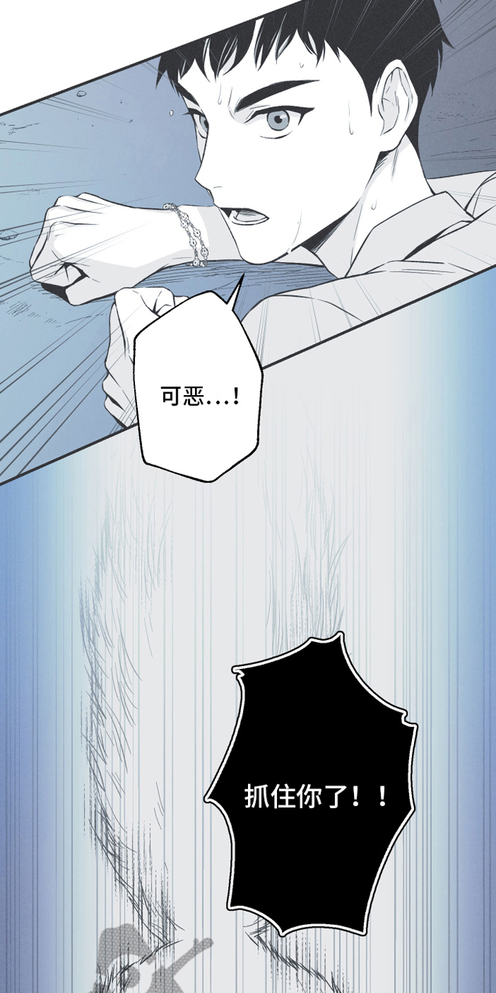 环蛇架构漫画,第15章：召唤2图