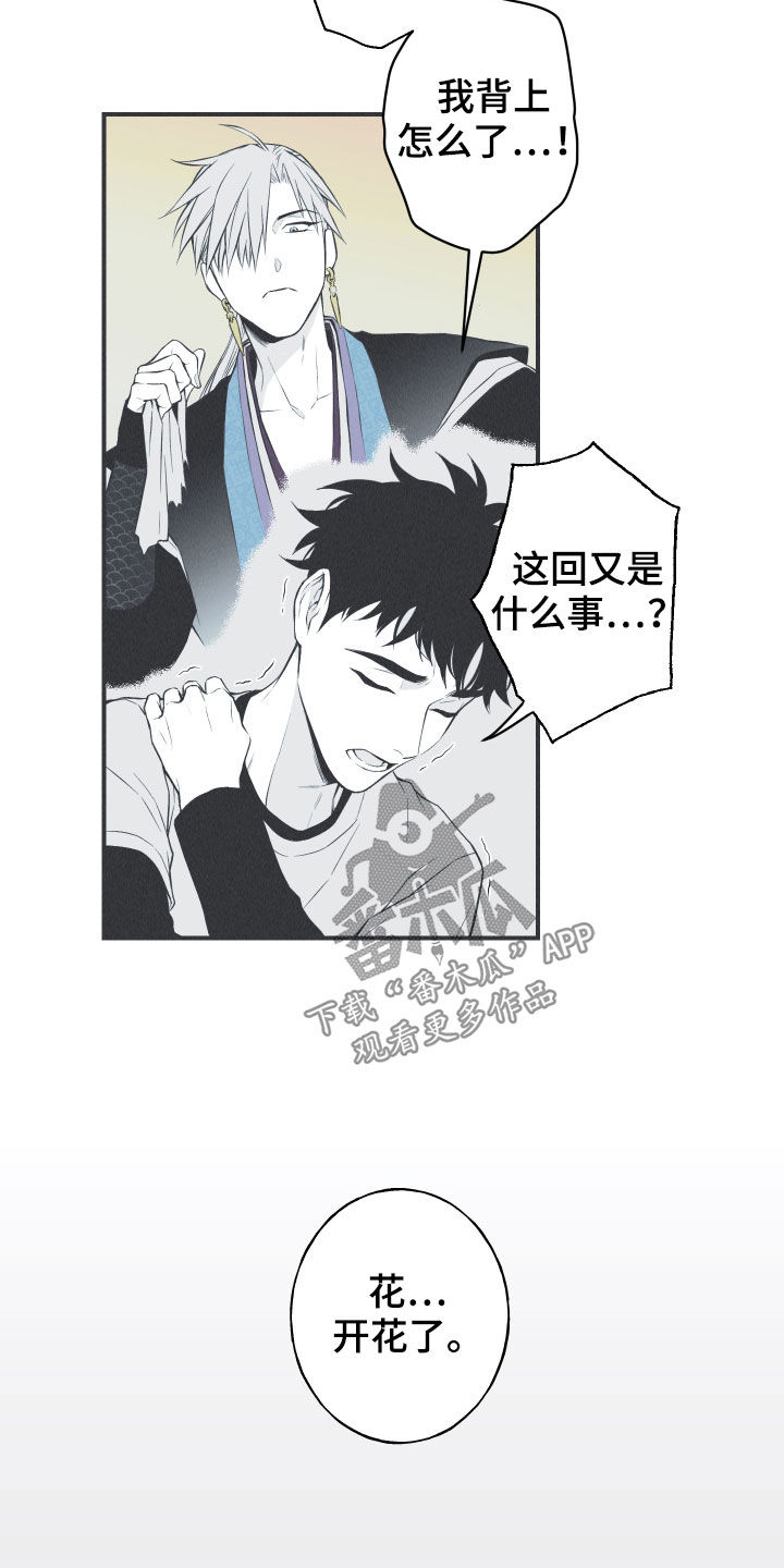 蛇环凶危漫画,第26章：莲花盛开2图
