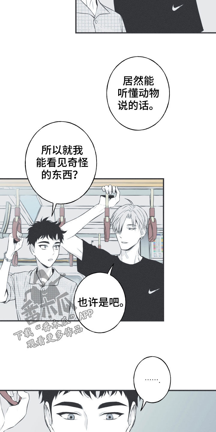 蛇年有喜之小草进城漫画,第33章：凉飕飕1图