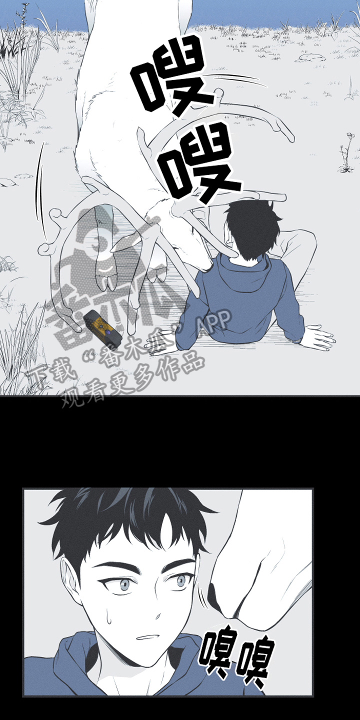 环蛇有哪些漫画,第18章：鹿妖2图