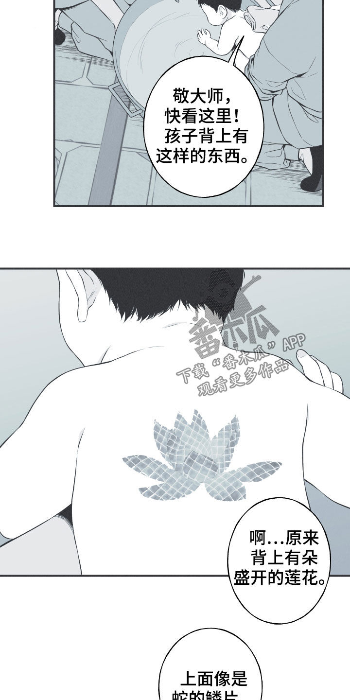 蛇环凶危漫画,第26章：莲花盛开1图