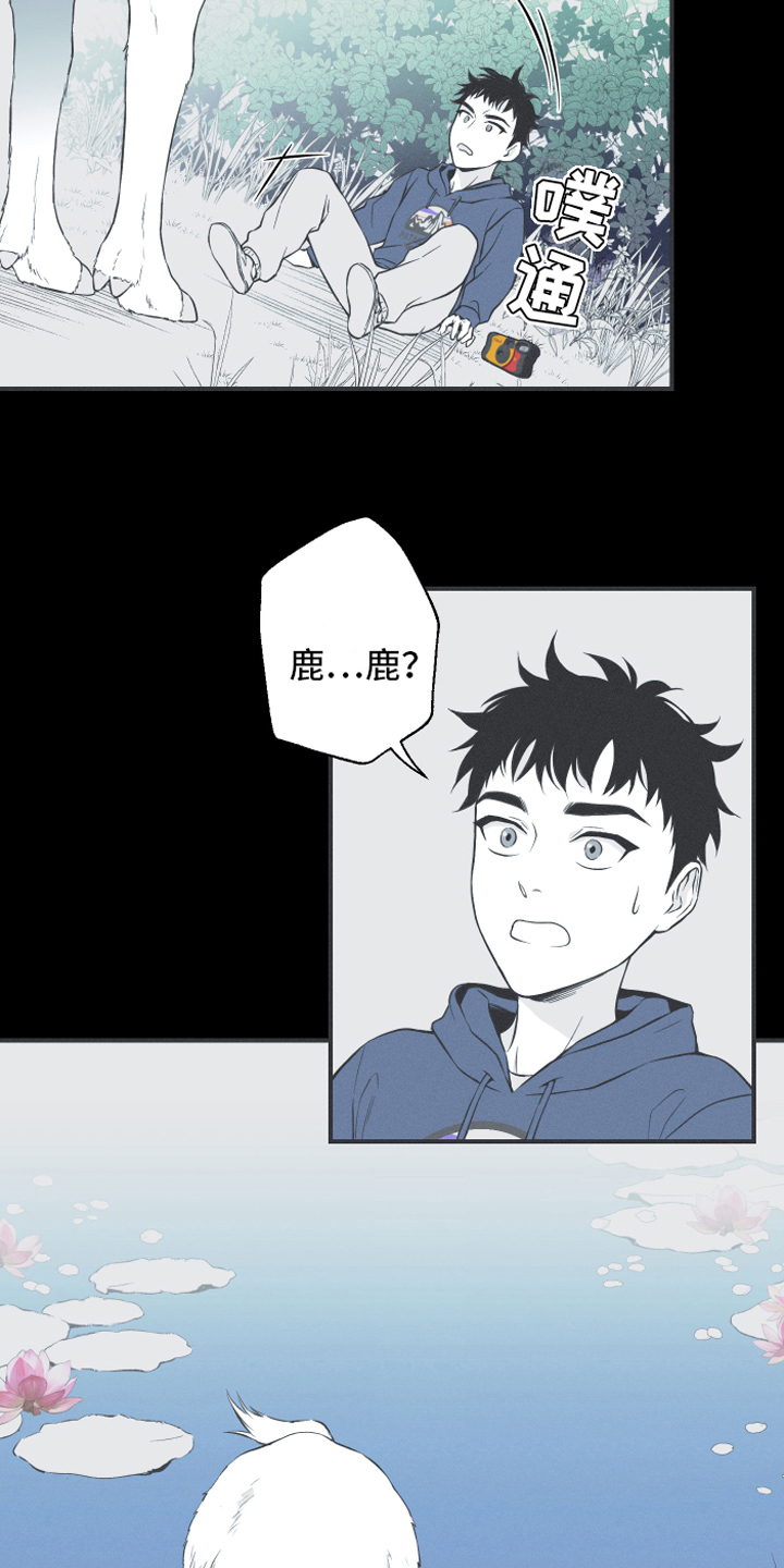 环蛇有哪些漫画,第18章：鹿妖1图