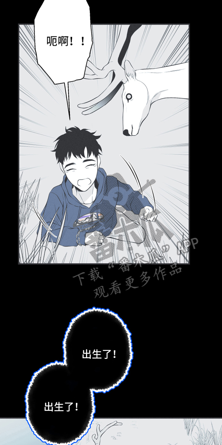 环蛇有哪些漫画,第18章：鹿妖2图