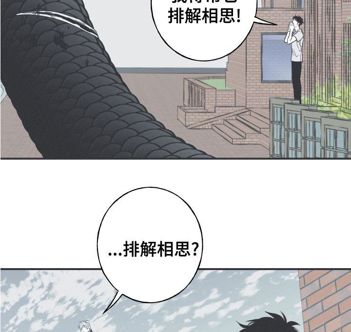 蛇环纹帆布包漫画,第48章：排解相思2图