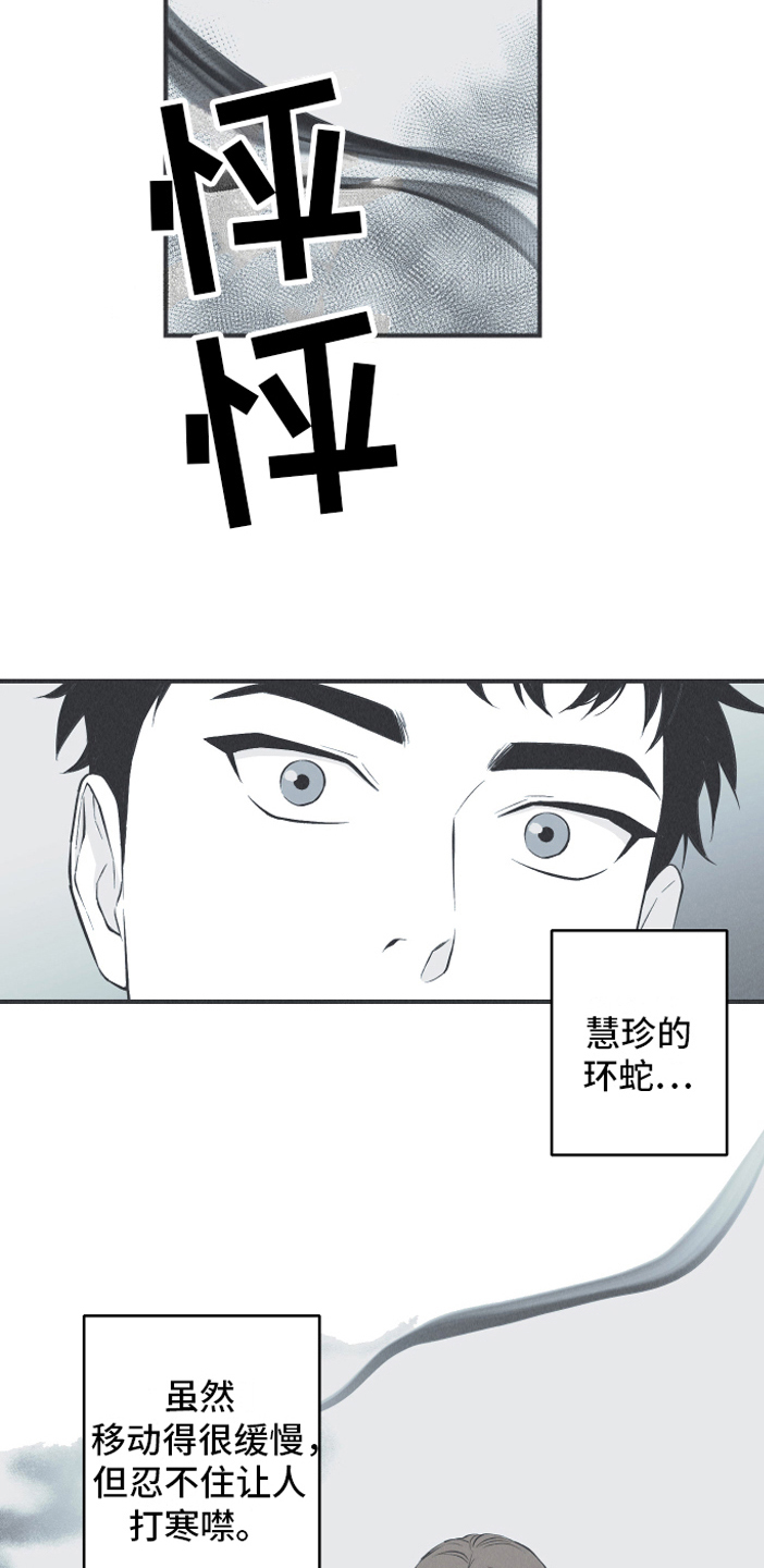 蛇环凶危漫画,第19章：担忧2图