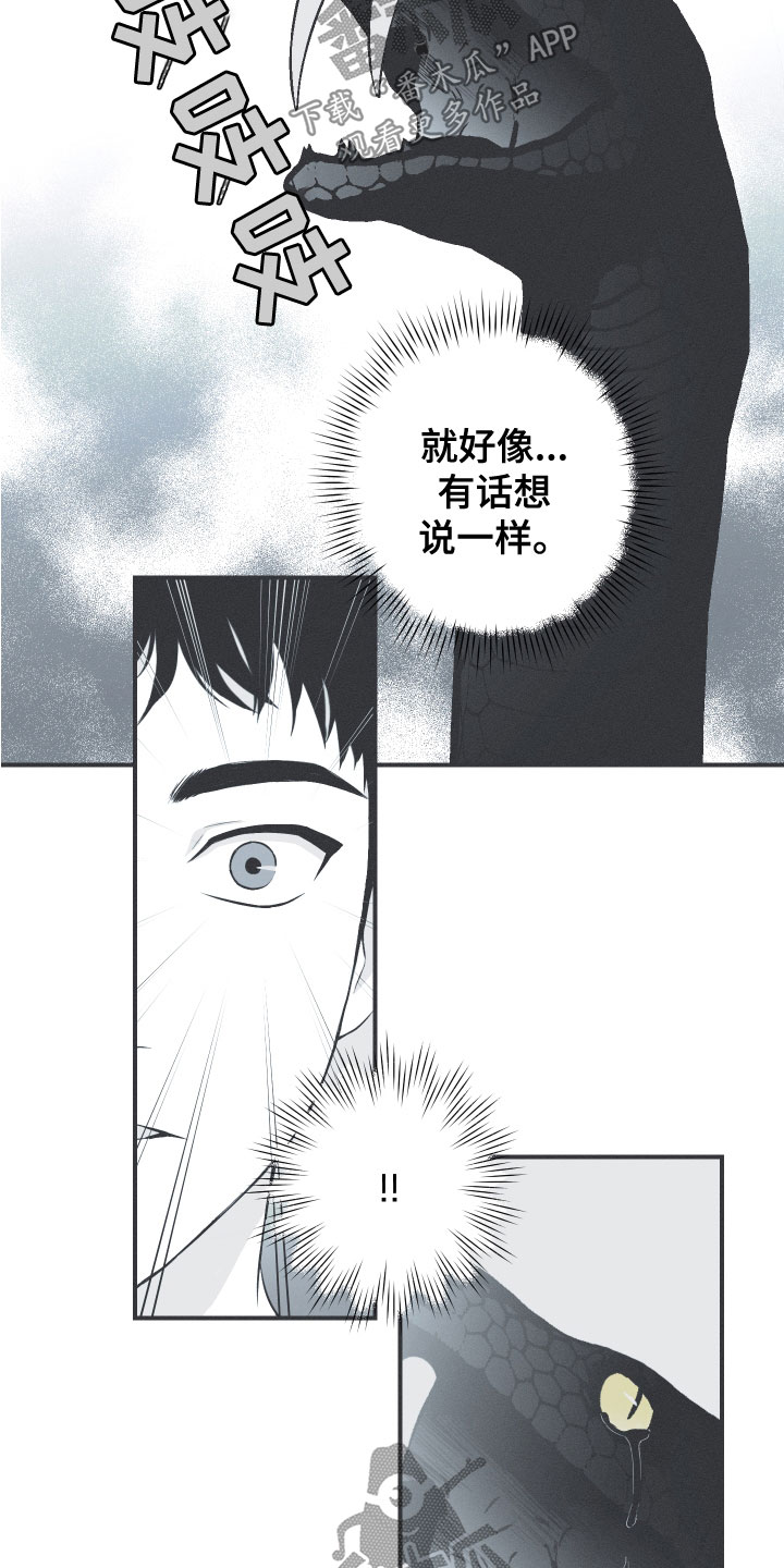 蛇环纹帆布包漫画,第48章：排解相思2图