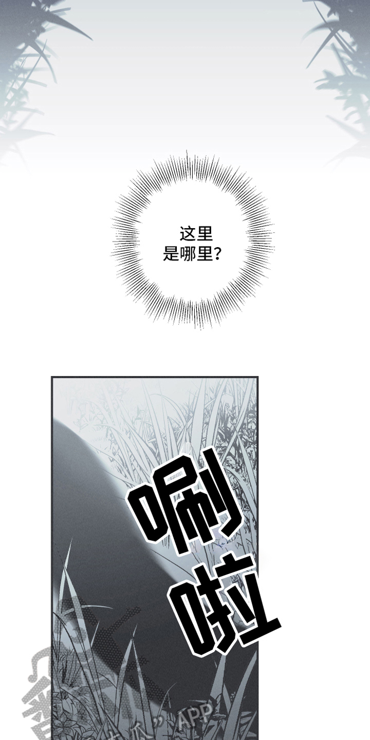 蛇环手链的编织教程漫画,第9章：惊梦2图