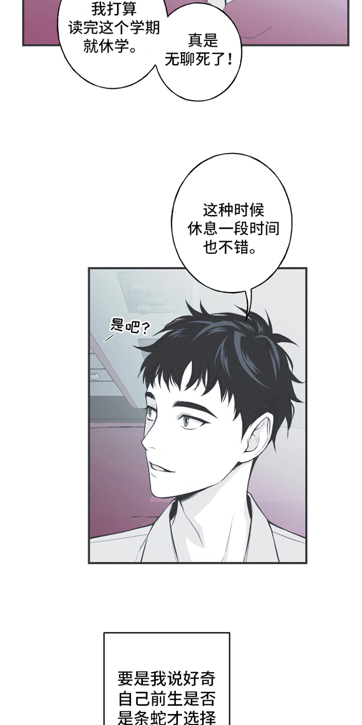 锒环蛇价格漫画,第10章：理由2图