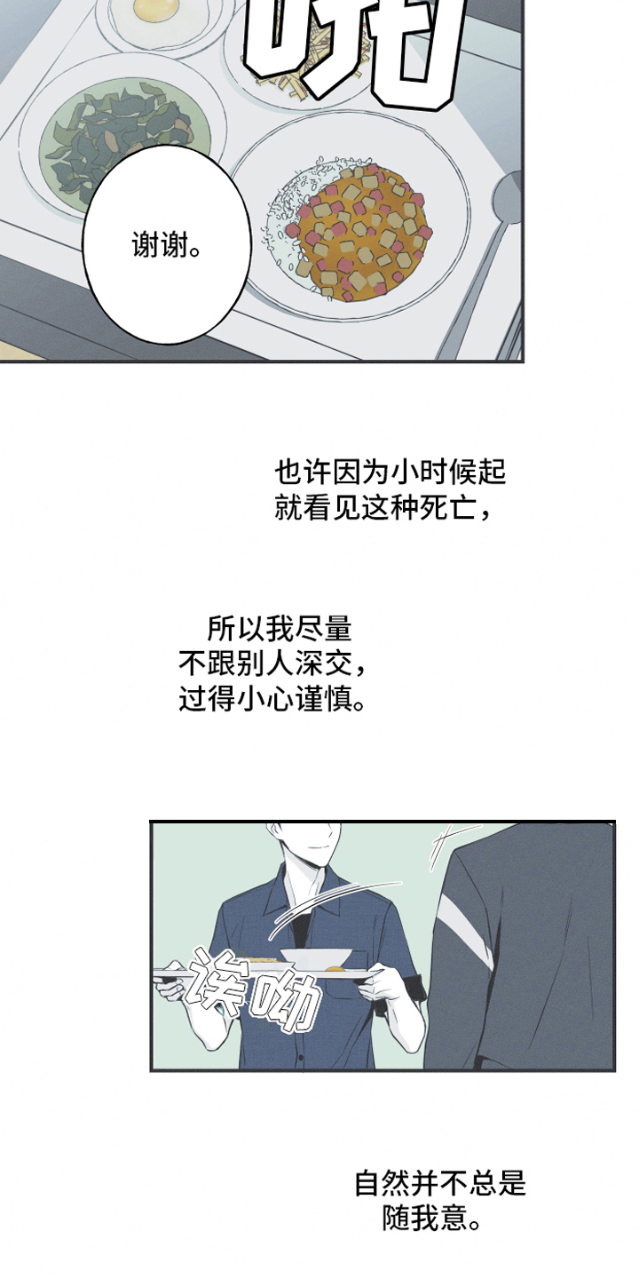 蛇环扣解法视频漫画,第6章：最终的结果2图