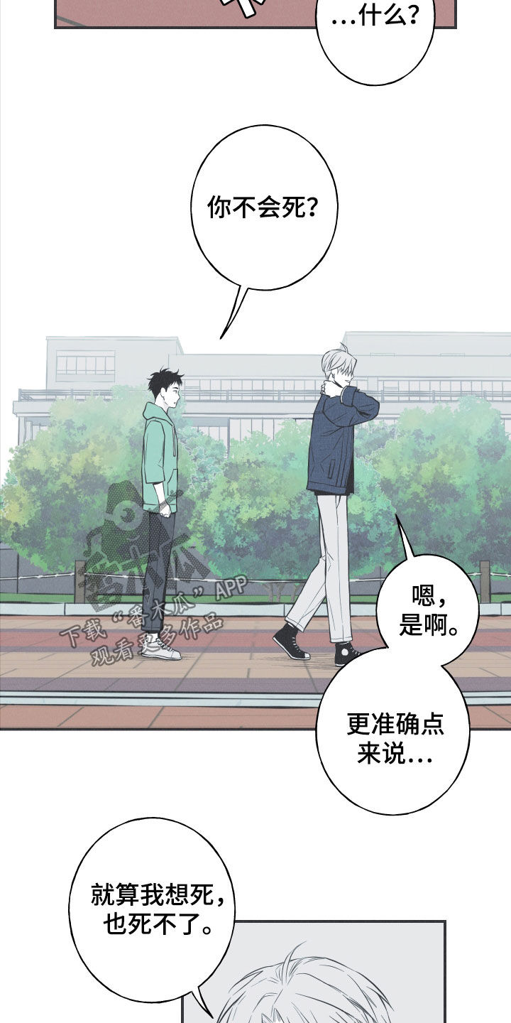 蛇环凶危漫画,第29章：不死不灭1图