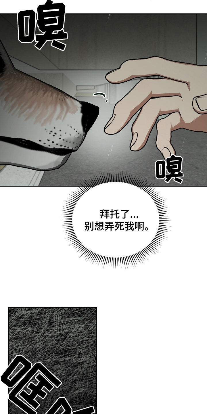 狼人与猿人一番战漫画,第60章：取暖2图