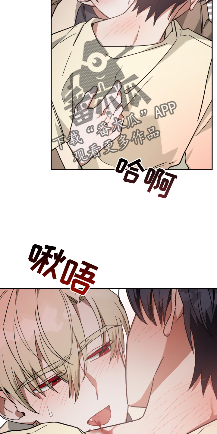 狼人与血族漫画,第92章：管理2图