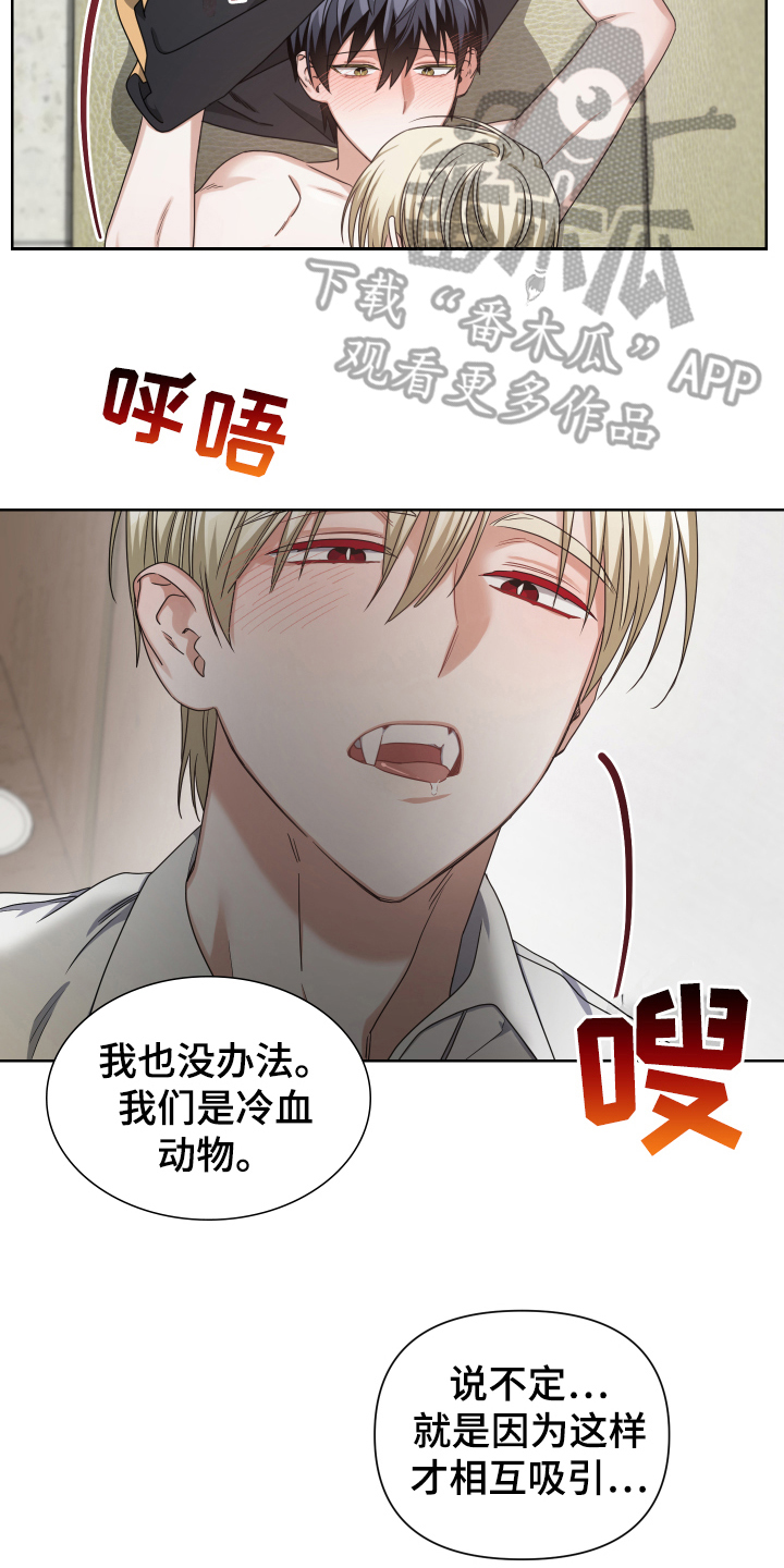 狼人与血族视频漫画,第12章：搅和1图