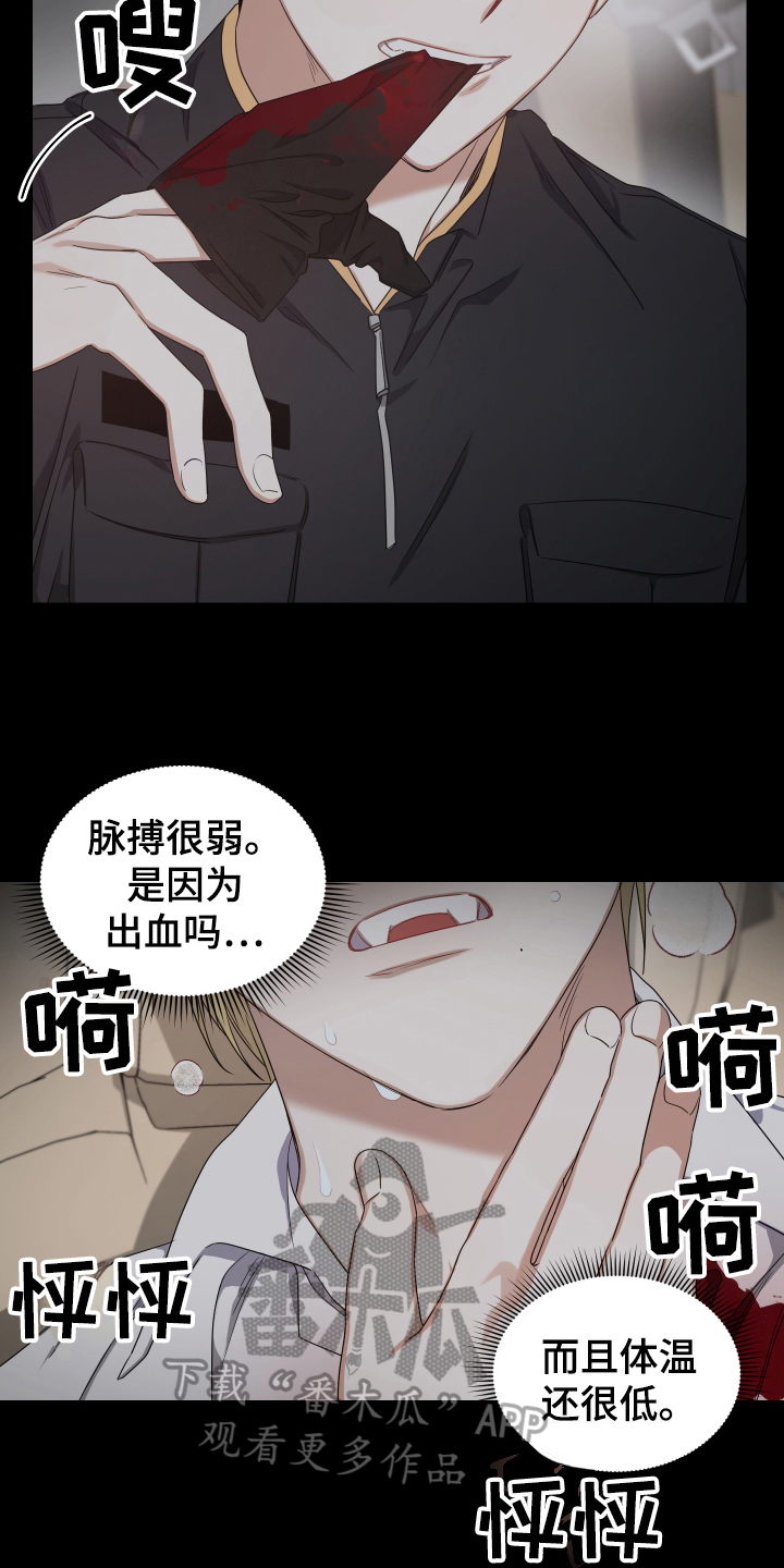 狼人与血族的关系漫画,第10章：开始拍摄1图