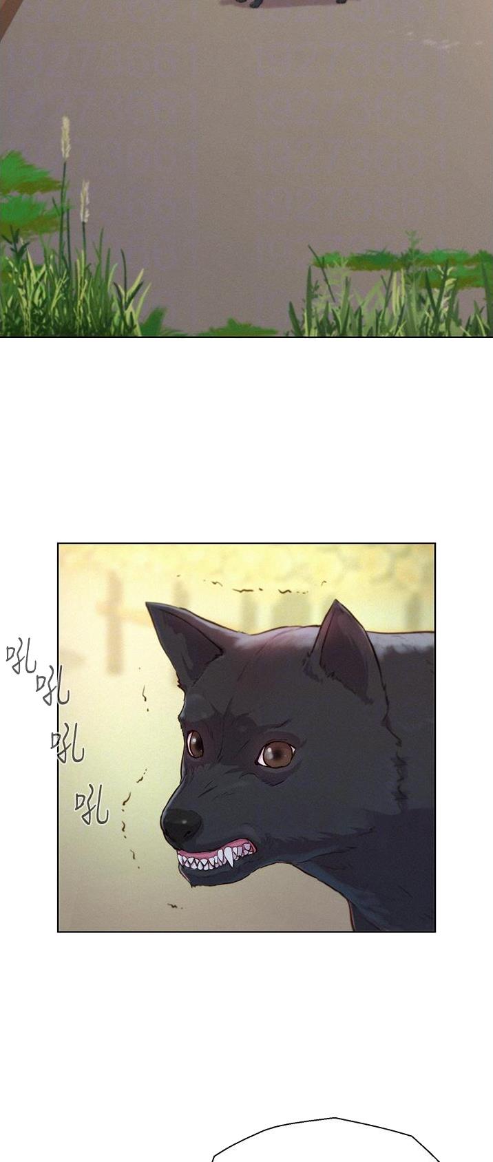浪漫营地漫画全集阅读漫画,第65话1图