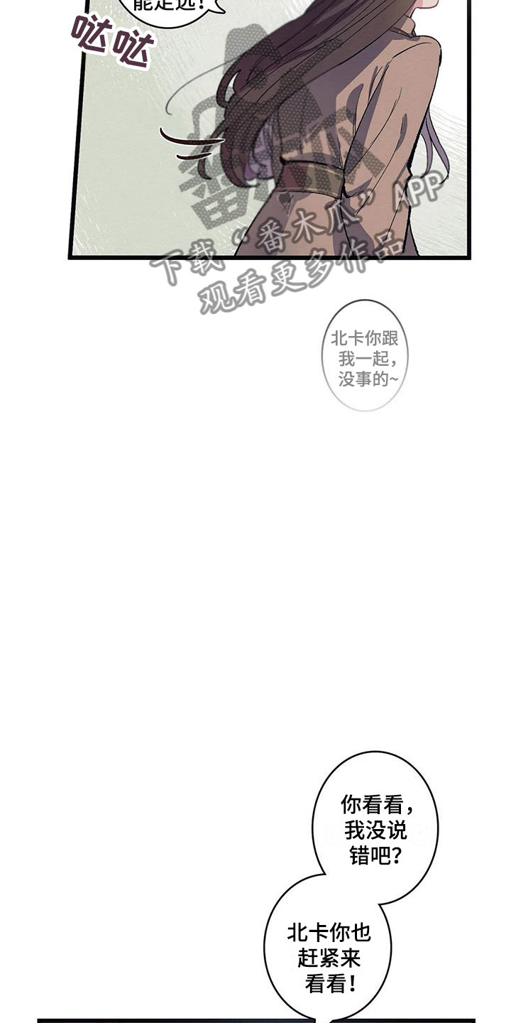 大小姐的极品医神漫画,第8章：迷路2图