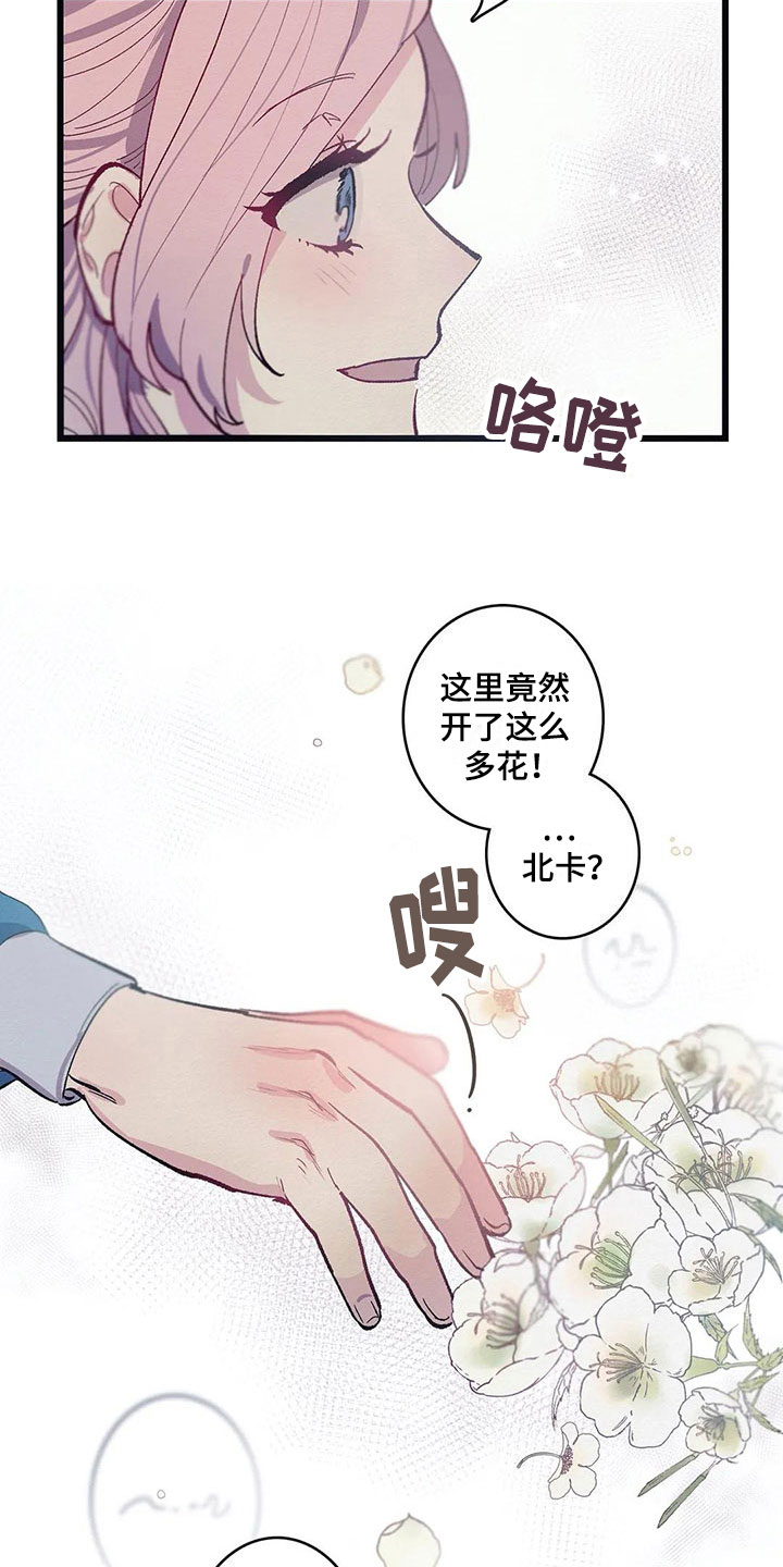 大小姐的最强保镖免费阅读漫画,第8章：迷路1图