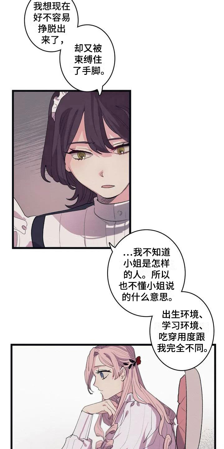 大小姐的餐桌百度百科漫画,第7章：相似2图