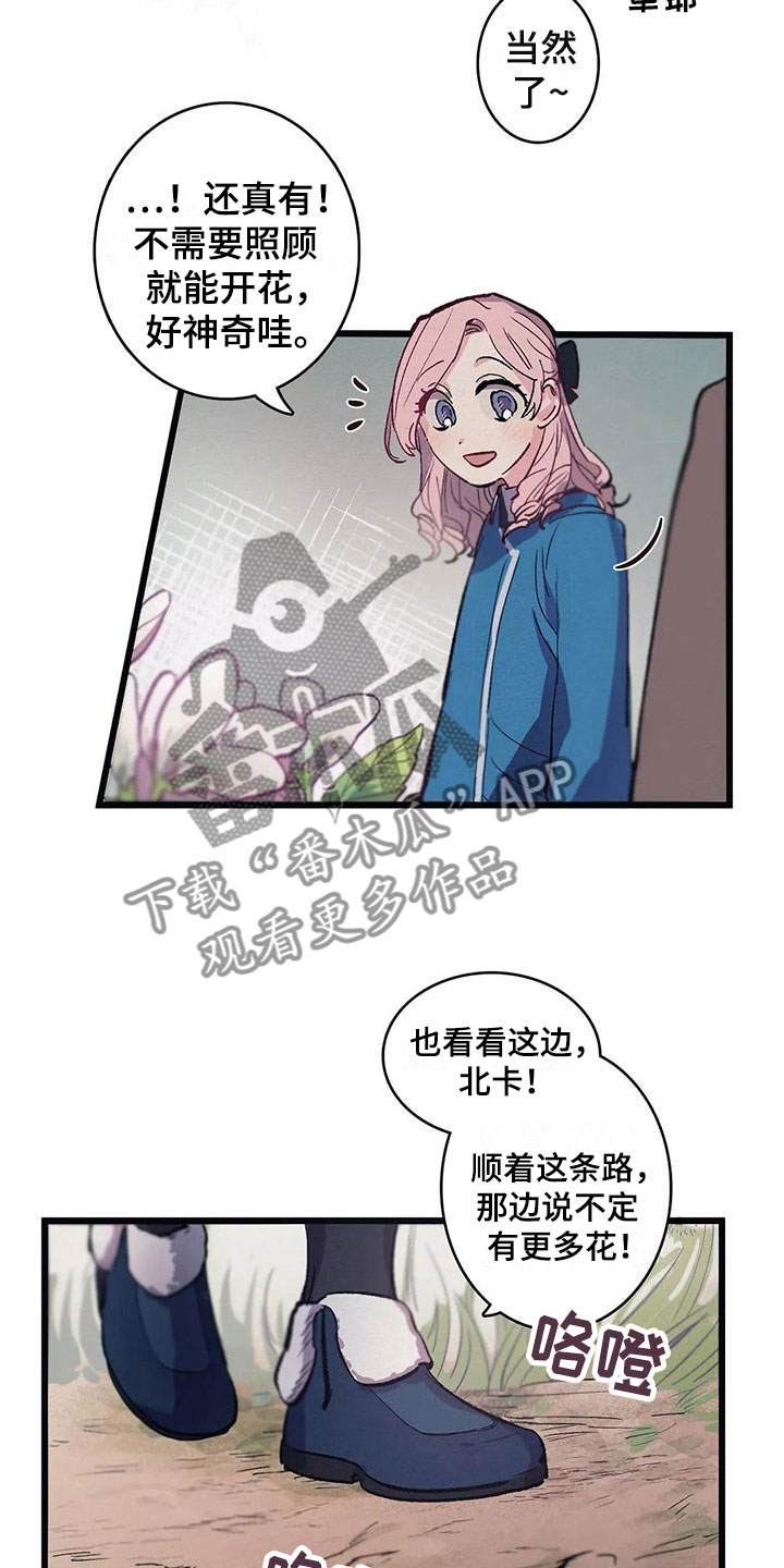 大小姐的极品医神漫画,第8章：迷路2图