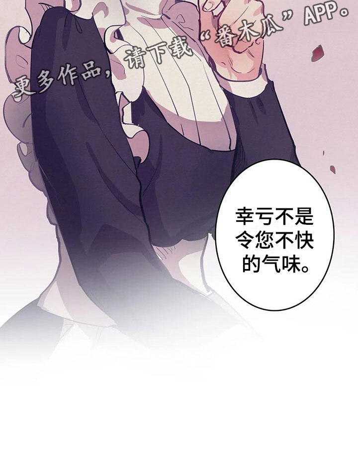 大小姐的贴身高手叶萧全文阅读漫画,第11章：气味2图