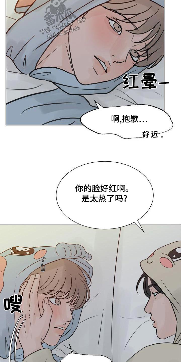 别再离开我苏格兰折耳猫漫画,第62章：遵守2图