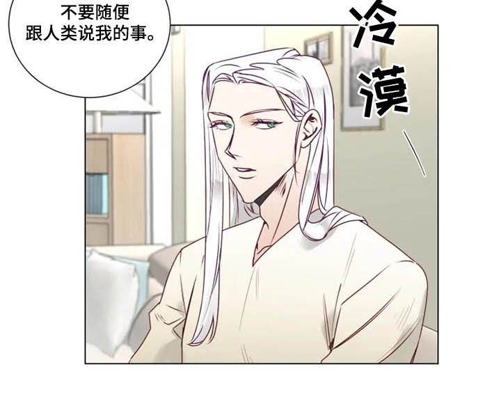 神的祭品先生漫画,第11章：特别的存在2图