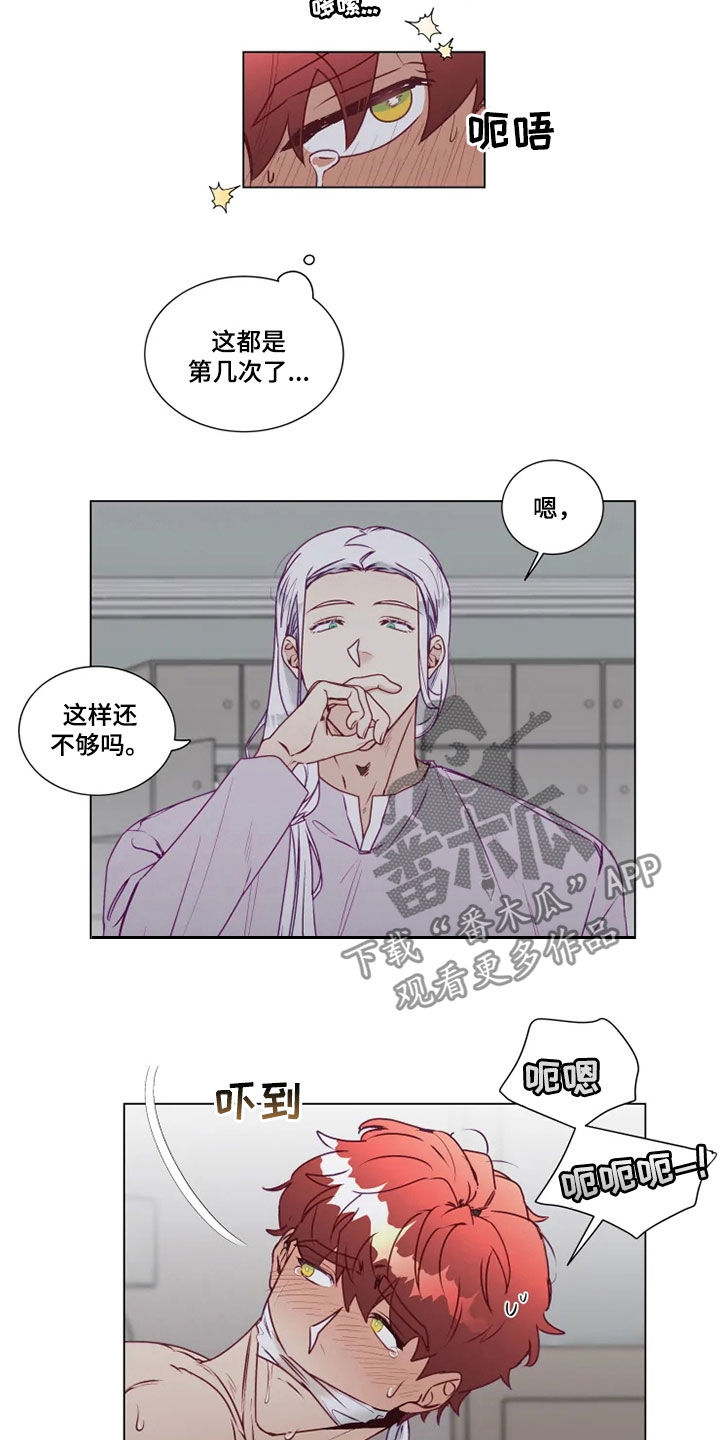 神的祭品先生漫画,第21章：猜不透2图