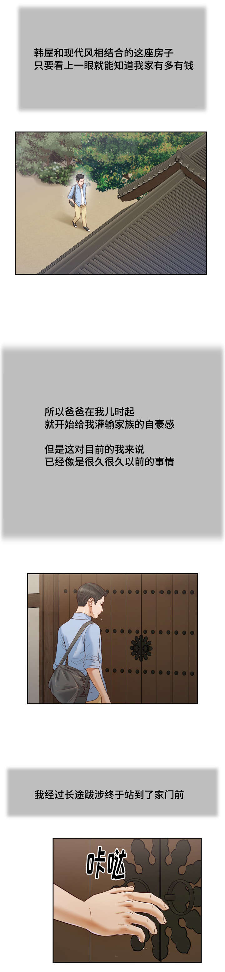 玉翡翠玉髓有什么区别漫画,第10章：回家1图