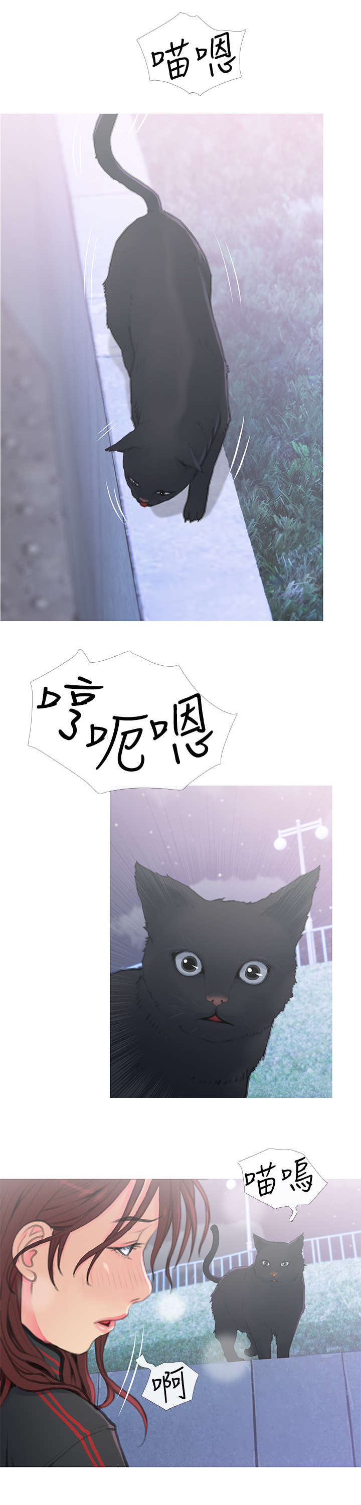 住房公积金漫画,第1章：猫咪1图