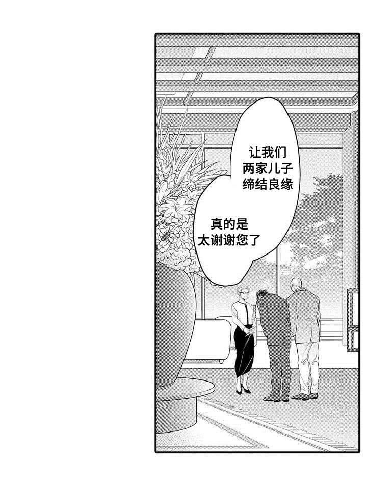 全屋定制效果图漫画,第1章：结婚1图