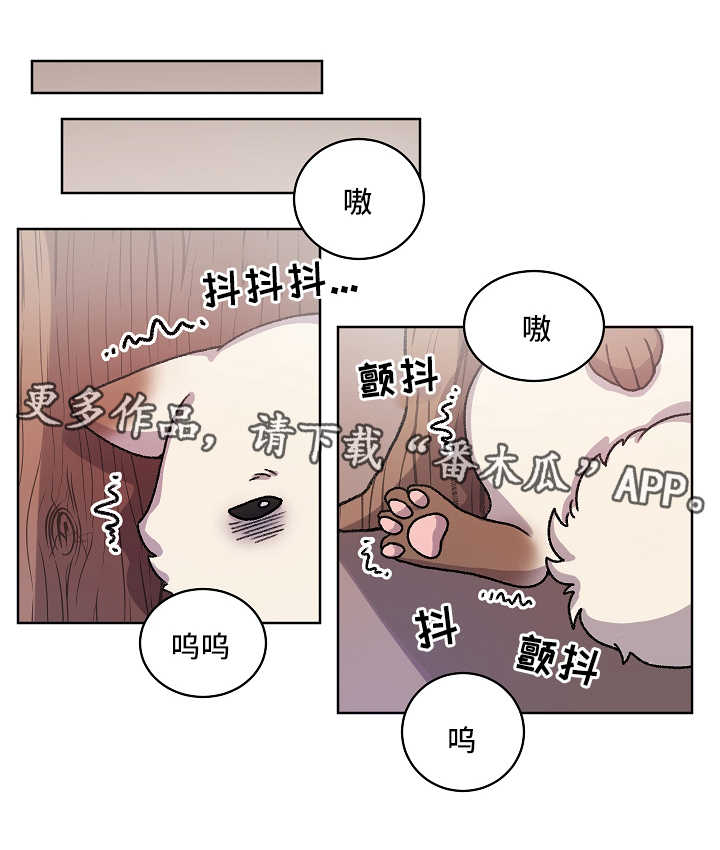 狐狼觅食漫画,第35章：收养1图