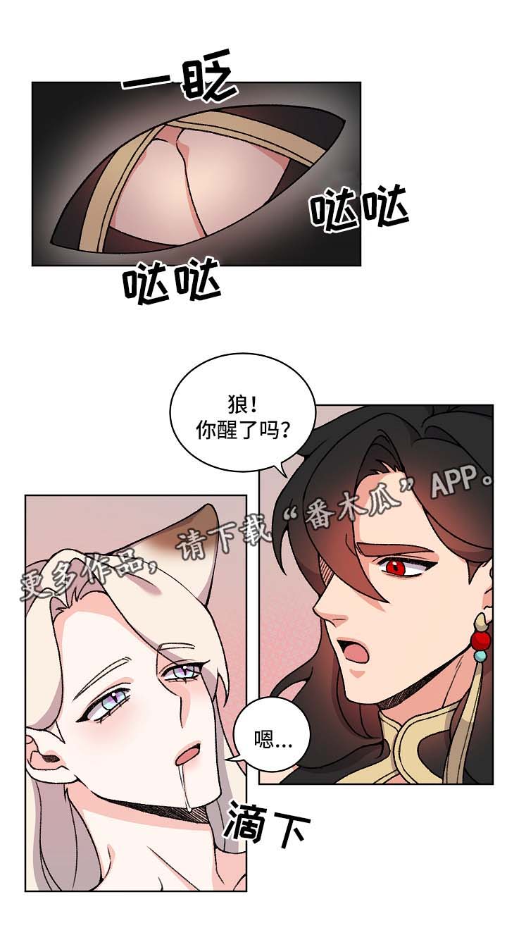 狐狼变漫画免费版在哪看漫画,第42章：苏醒1图