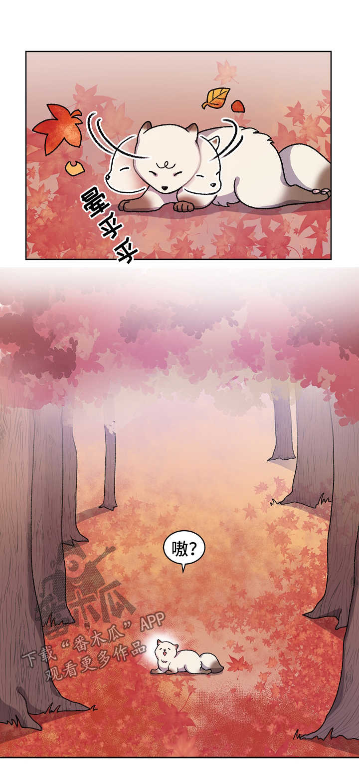 狐狼战神漫画,第34章：走丢1图