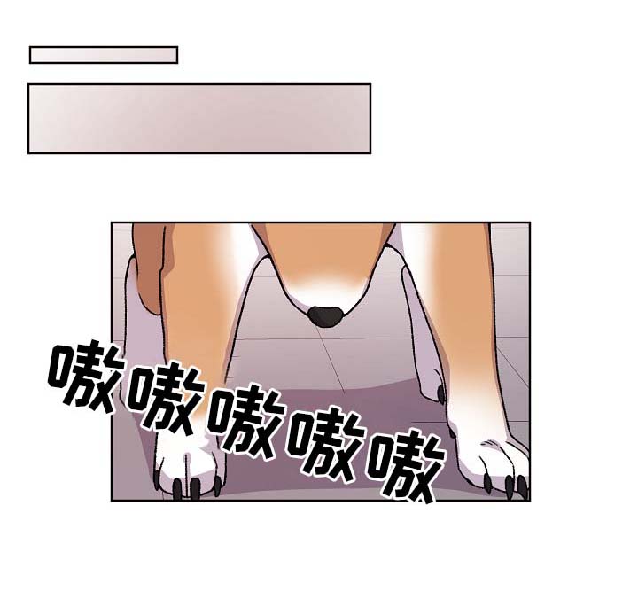 狐狼小说下载漫画,第41章：报复1图