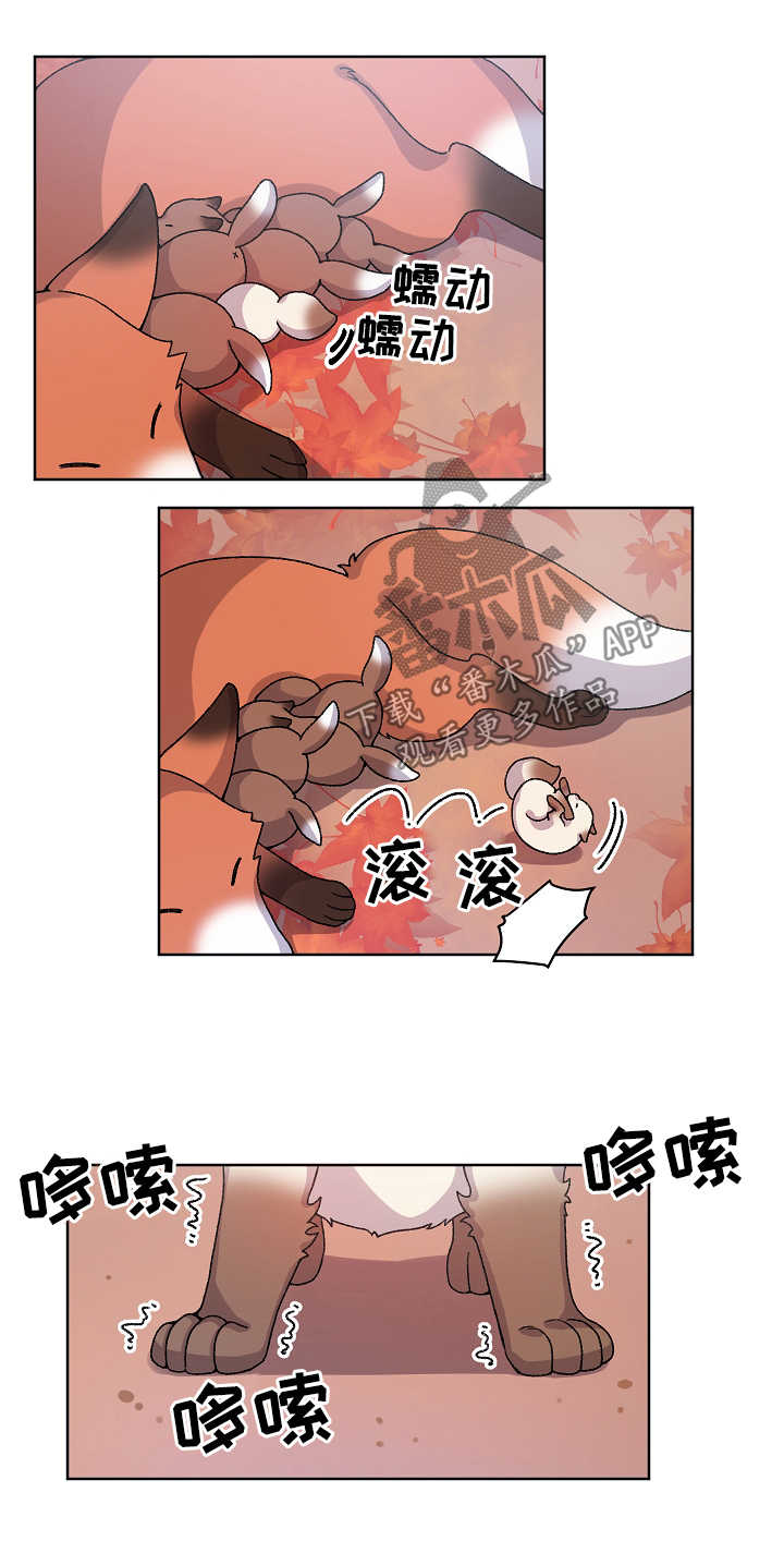 狐狼小说下载漫画,第34章：走丢2图